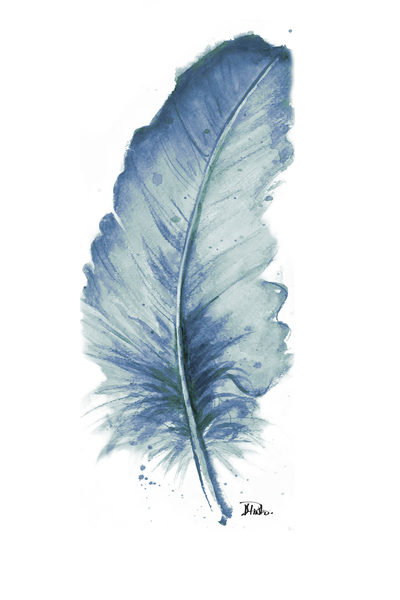 feather watercolor