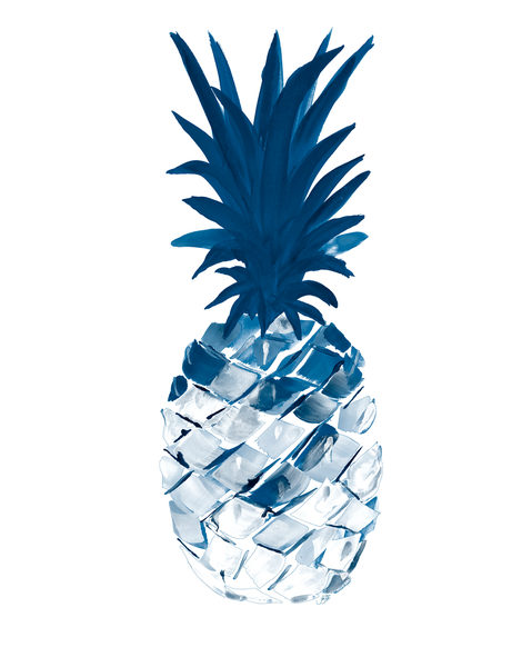 SunDance Graphics  Image Detail - 12531J - Blue Pineapple