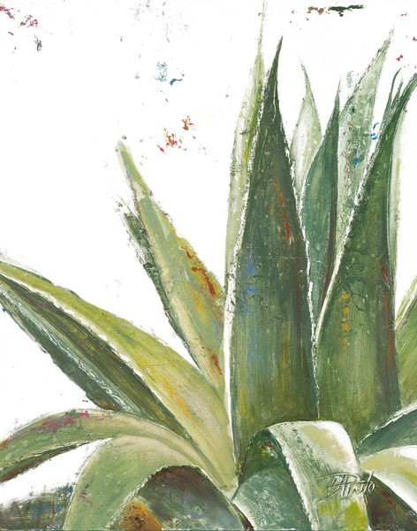 SunDance Graphics | Image Detail - 7355AB - Aloe Vera I